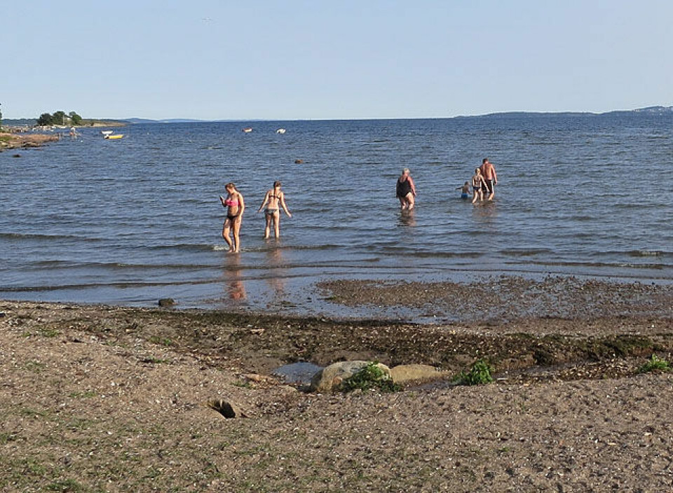 Rødtangen Rundt: Hørthe tilbake! Bading_IMG_2085.jpg