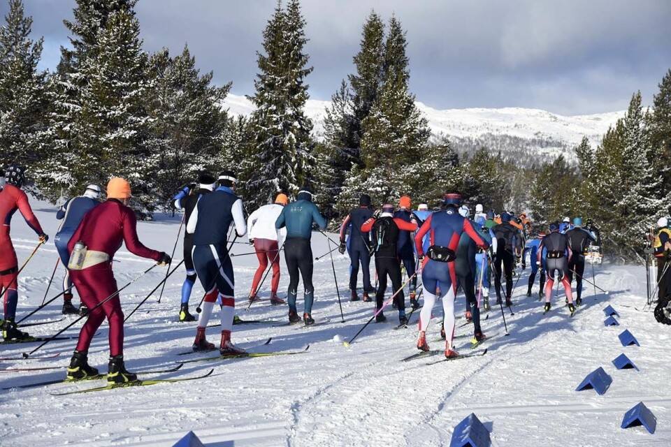 Haakon Holden og Sigrid Nordgården vant Furusjøen Rundt-Rennet 04-feltet.jpg