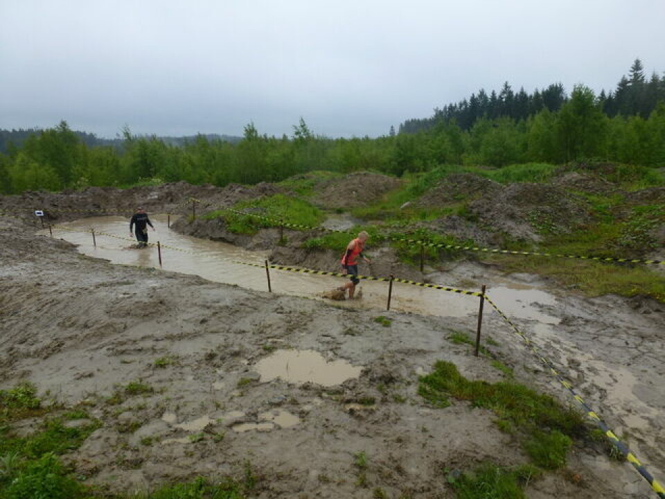 Barskingen i Rakkestad - Norges beste hinderløp? 2015.06.06_Barskingen_Soele_FOTO_AndreasDietzel.jpg