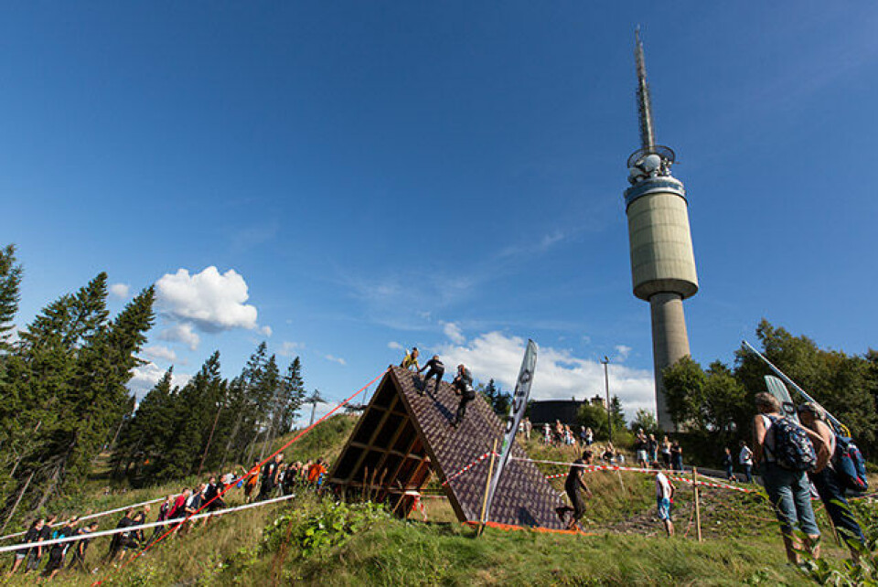 Engelske Albon slo de norske vikingene