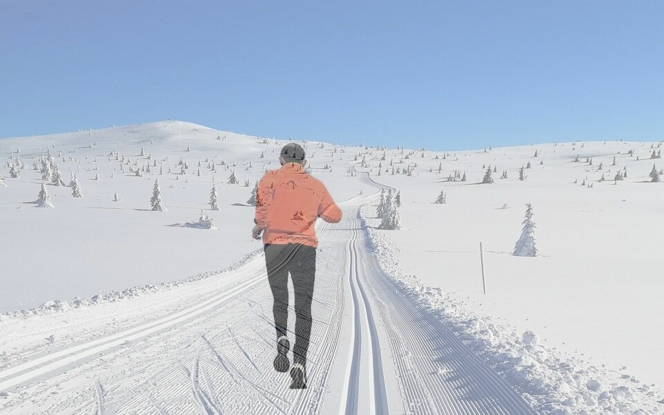 Med fantastiske skiopplevelser sist vinter løper vi våren i møte med håp om like flotte turer i skog og fjell. (Fotomontasje: Rolf Bakken) Med fantastiske skiopplevelser sist vinter løper vi våren i møte med håp om like flotte turer i skog og fjell. (Fotomontasje: Rolf Bakken)