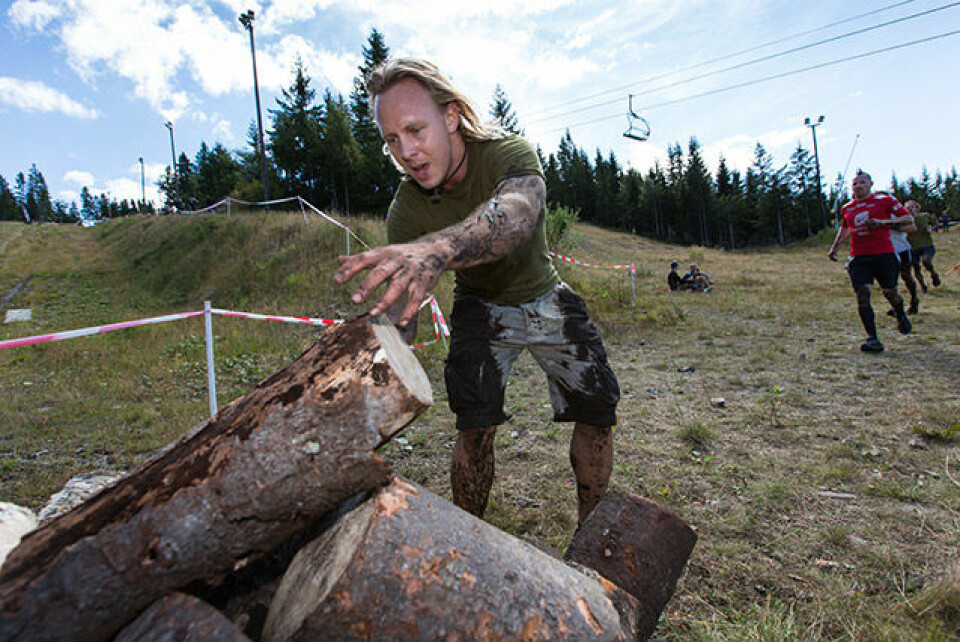 Engelske Albon slo de norske vikingene