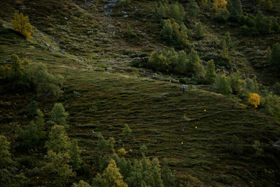 Hovdenak og Haukøy best i Trollheimen Fjellmaraton _MID5453.jpg