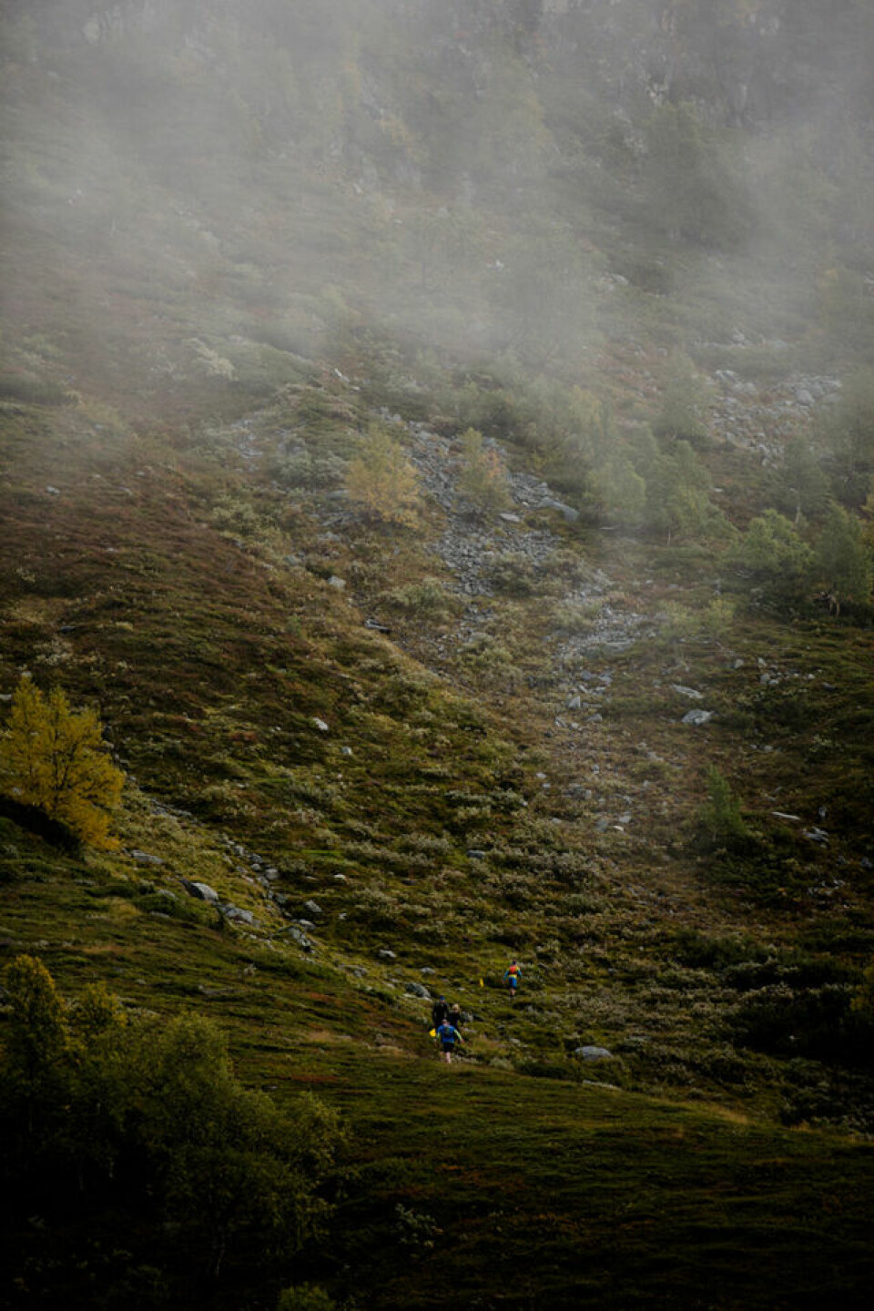 Hovdenak og Haukøy best i Trollheimen Fjellmaraton _MID5523.jpg