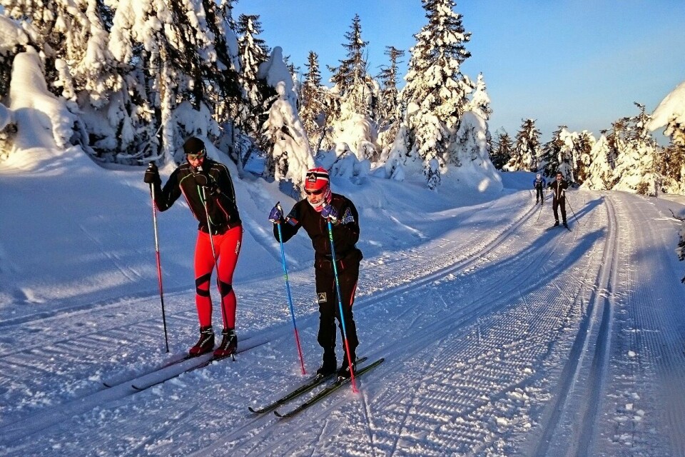 Gode grunner for å trene langrenn med lav intensitet Johnsrud Sundby 2013.jpg
