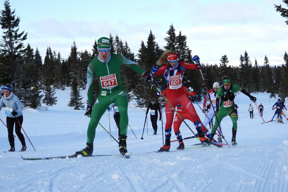 Årets doble juniorverdensmester Milla Grosberghaugen Andreassen fra Bækkelagets SK (601) hadde bare fem mannlige løpere foran seg på halvmaraton på Hafjell lørdag. (Foto: Stein Arne Negård) Årets doble juniorverdensmester Milla Grosberghaugen Andreassen fra Bækkelagets SK (601) hadde bare fem mannlige løpere foran seg på halvmaraton på Hafjell lørdag. (Foto: Stein Arne Negård)