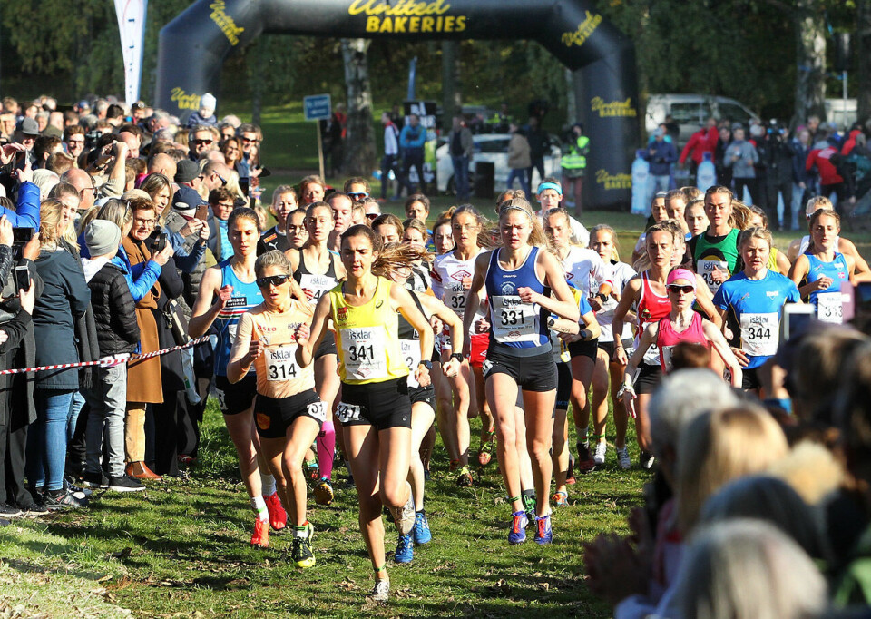 Kollen-stemning da Therese Johaug vant terreng-NM Start_damer_senior_1280_A20G5393.jpg