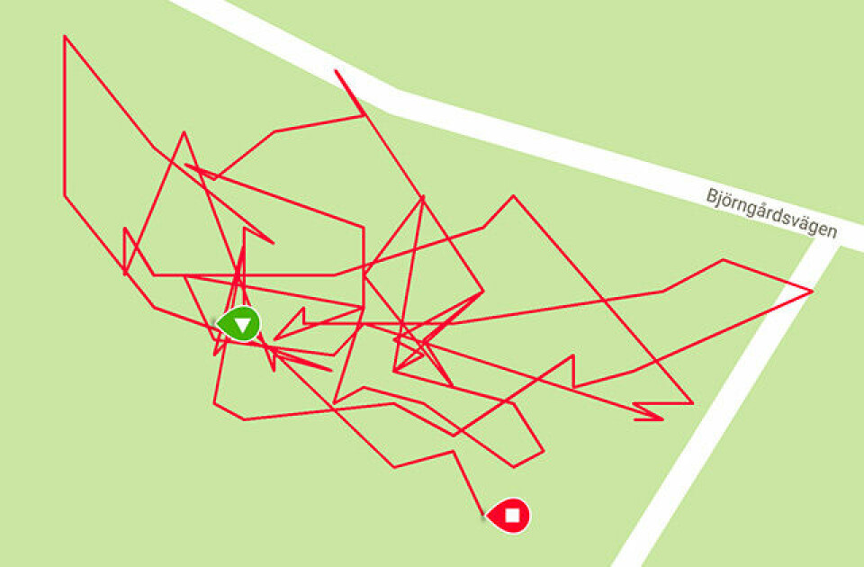 GPS-klokke på ville veier GPS-spor-30min-meditasjon.jpg