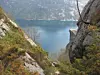 Hengjanibba_miniatyr_av_Prekestolen_ligger_i_traseen_640.jpg