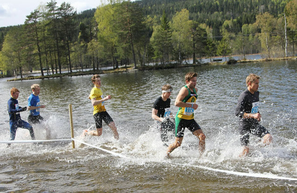 Råskinnet: Heidi Pharo vant igjen Pulja_bak_de_to_foerste_etter_1km_IMG_3868.jpg
