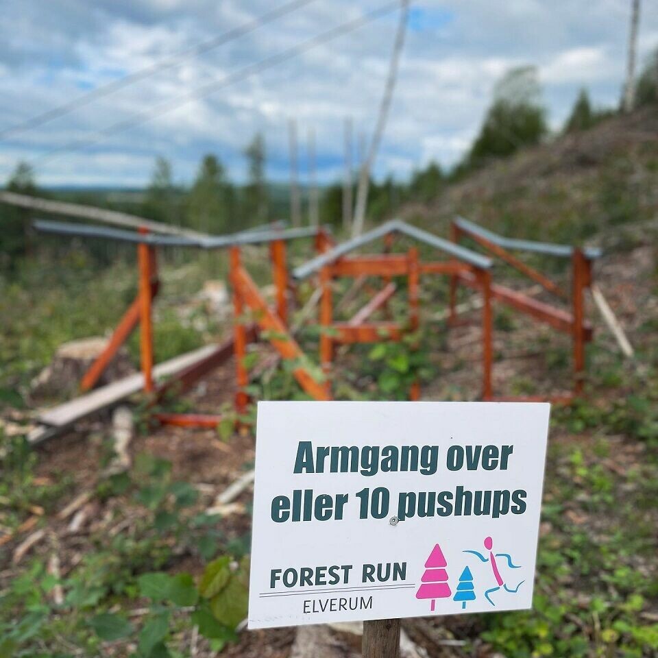 Klart for årets hinderløp i skogen i Elverum Alternativ oppgave.jpg