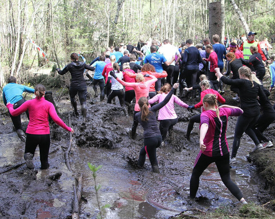 Råskinnet: Heidi Pharo vant igjen Pulje_5_gjoerme_etter_600m_IMG_4453.jpg