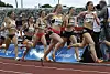 Trine Mjaaland, Hedda Hynne og Yngvild Elvemo løper 800 m under Diamond League-stevnet i Stockholm i kveld. Her ser vi dem i aksjon i Bislett Games. (Foto: Bjørn Johannessen)