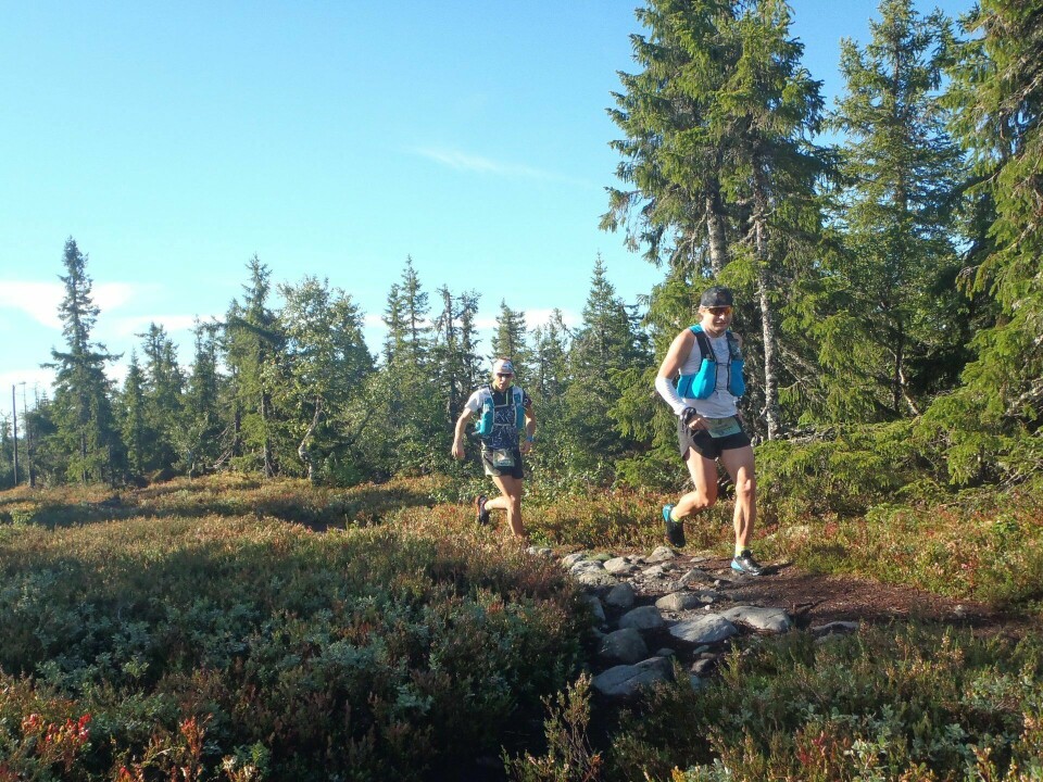 7 løpere fullførte Bérghem Ultra Trail i Hedmarksmyra Mamaj_Maciej.jpg