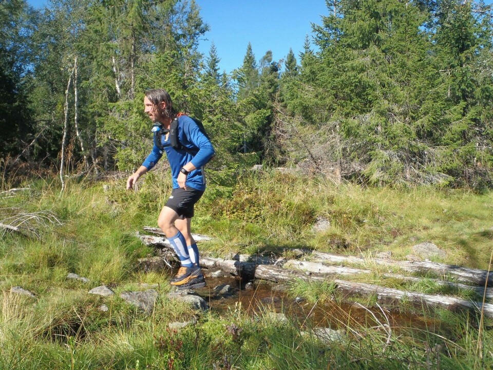 7 løpere fullførte Bérghem Ultra Trail i Hedmarksmyra Jan_Sverre_Mikkelsen.jpg