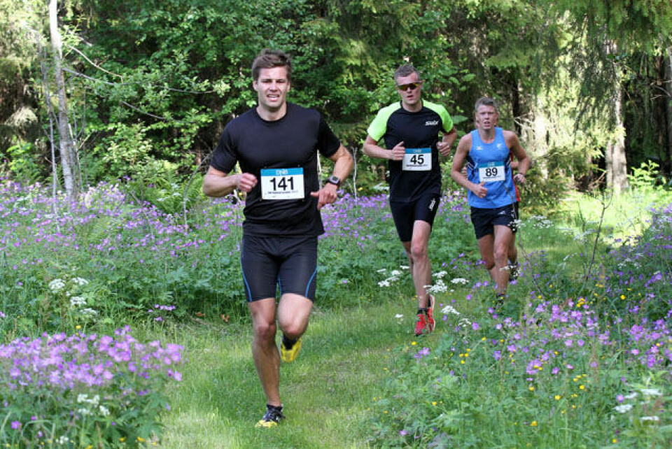 Blomstrende Kanthaugløp på Lillehammer Bilde 1