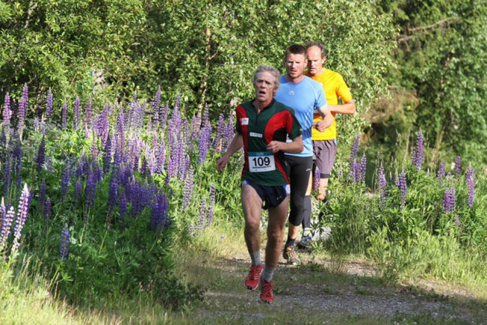 Blomstrende Kanthaugløp på Lillehammer Bilde 3.jpg