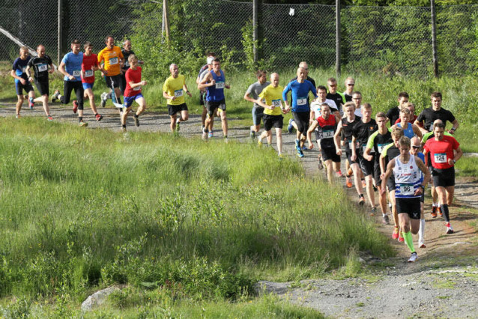 Blomstrende Kanthaugløp på Lillehammer Bilde 4.jpg