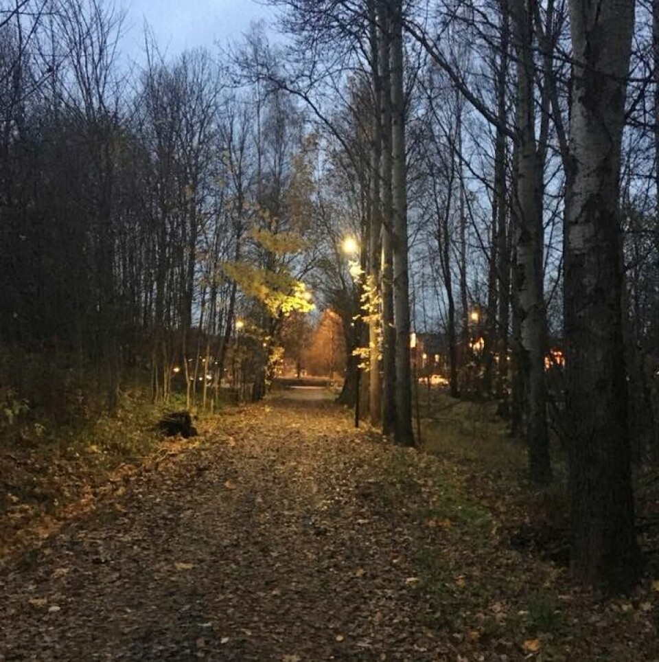 68 løpere fullførte Löplabbets AllerhelgensUltraMaraton Florrunners_tur_i_skogen.jpg