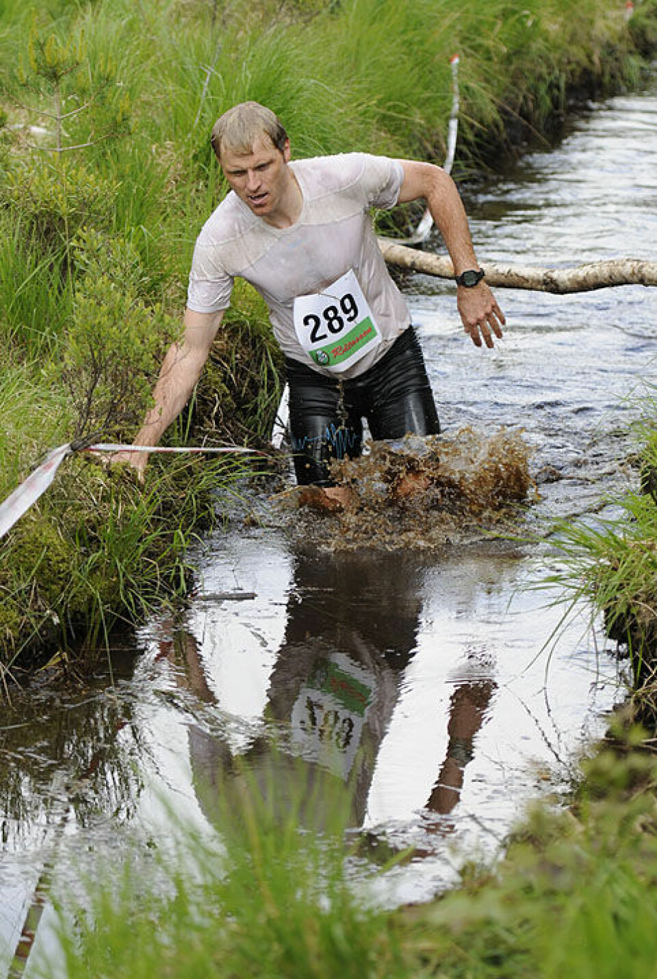 Råtasser i full utfoldelse