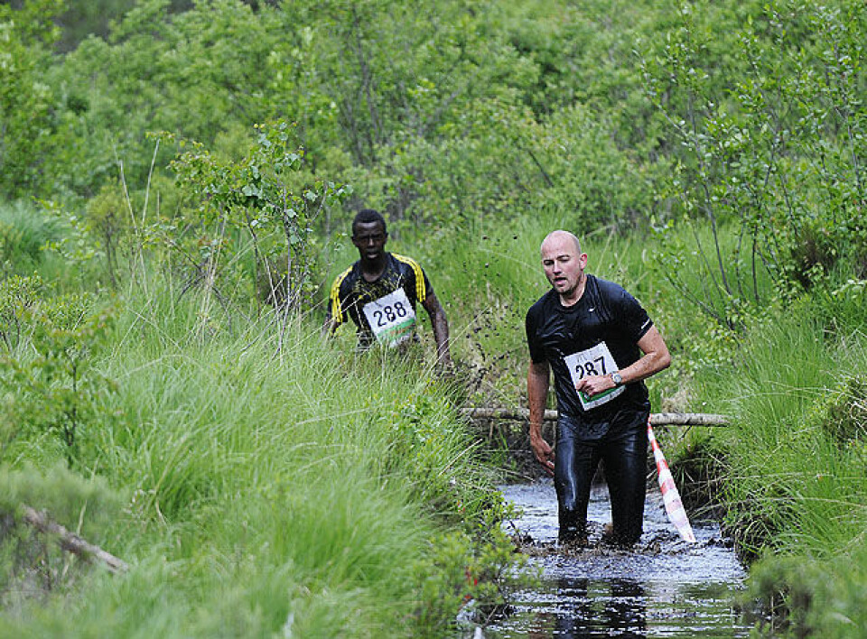 Råtasser i full utfoldelse