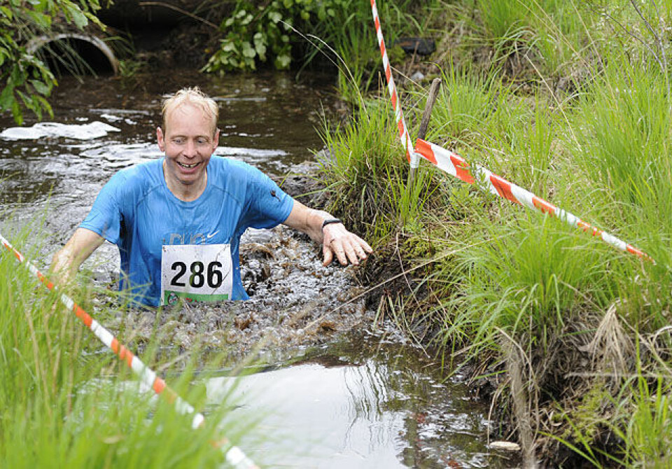 Råtasser i full utfoldelse