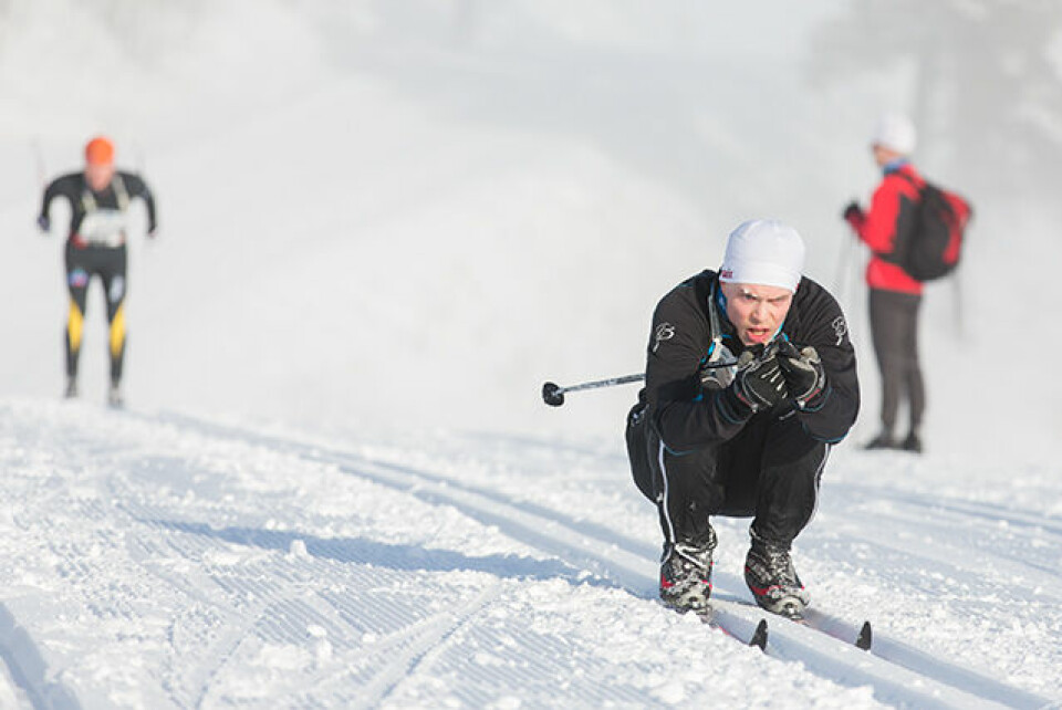 Arne Post vant Holmenkollmarsjen 141_hkmarsjen_stian_080214.jpg