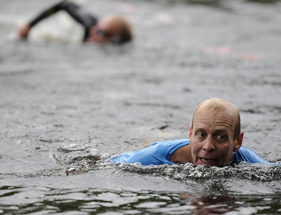Råtasser i full utfoldelse