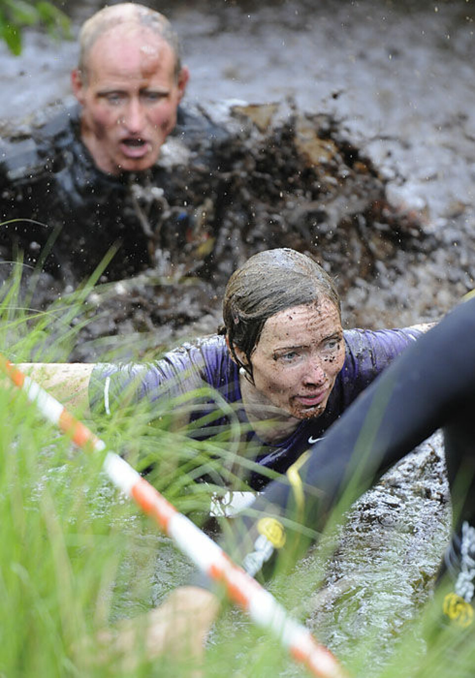 Råtasser i full utfoldelse