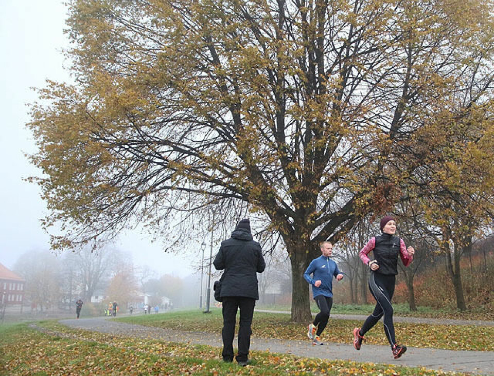 Tåke og løv da 68 løp det #11 Tøyen Parkrun Fotografen_og_Loeperne_IMG_1488.jpg