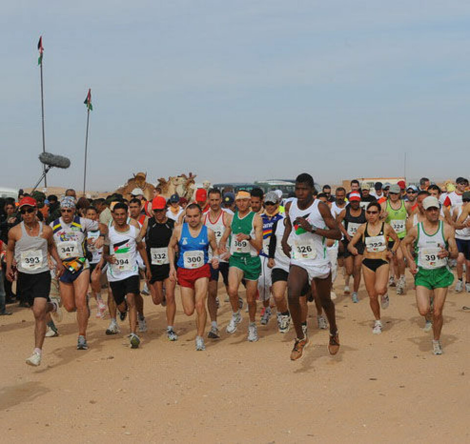 Rapport fra Sahara Marathon 2009 SMph_start_halvmarathon.jpg