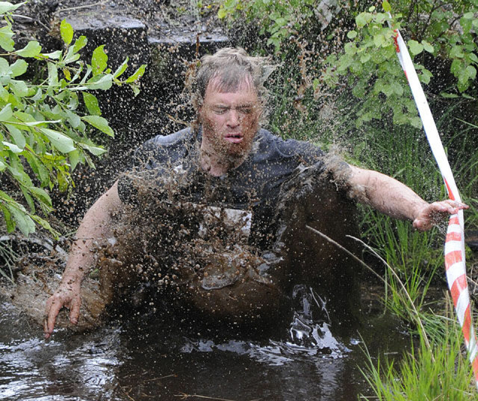Råtasser i full utfoldelse