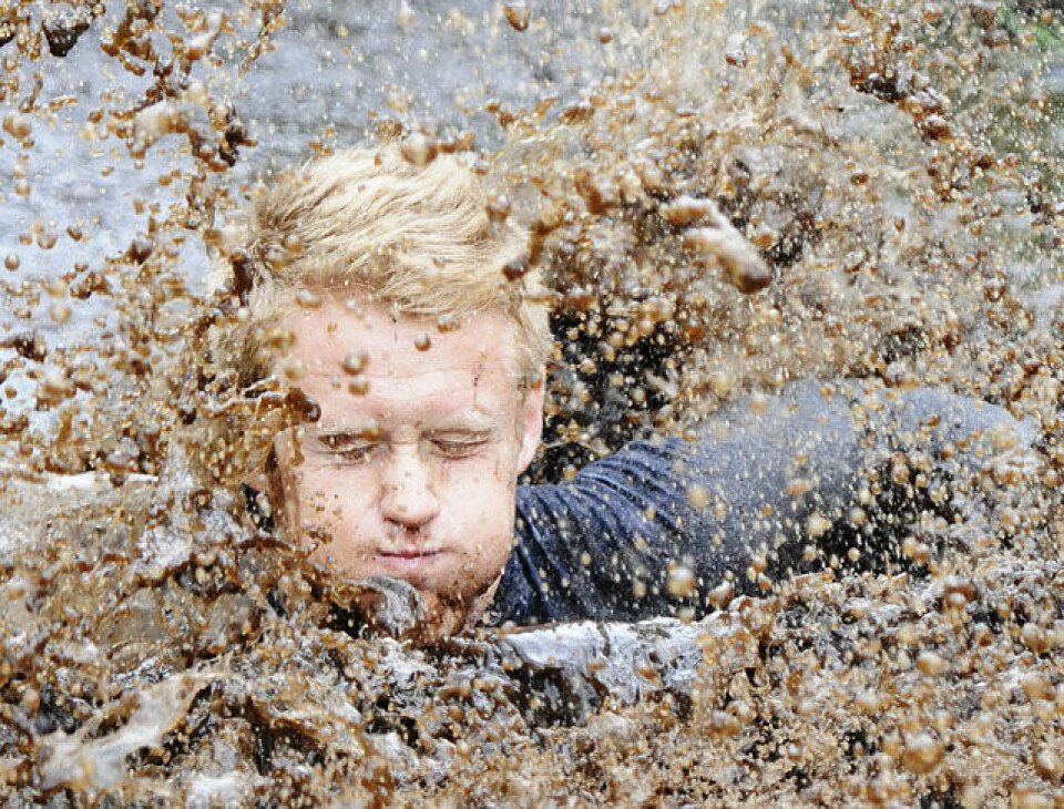 Råtasser i full utfoldelse