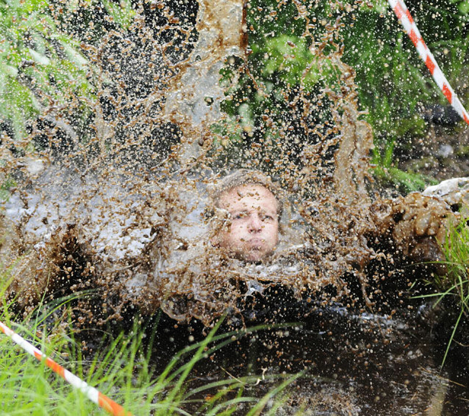 Råtasser i full utfoldelse