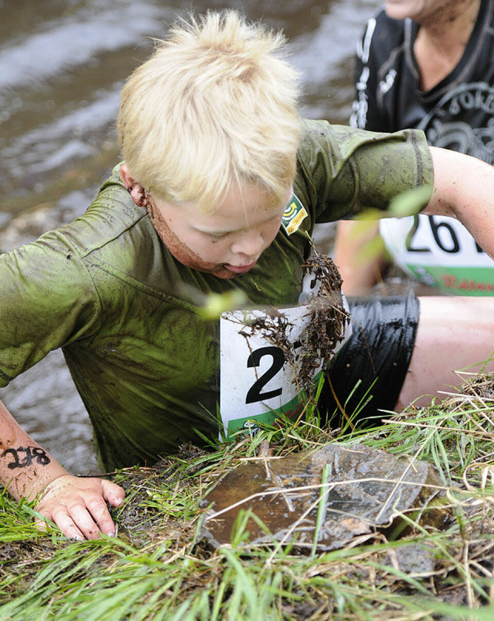 Råtasser i full utfoldelse