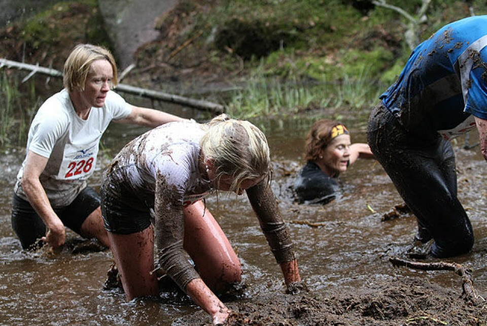 Fra Råskinnet i 2012. Foto: Heming Leira Fra Råskinnet i 2012. Foto: Heming Leira