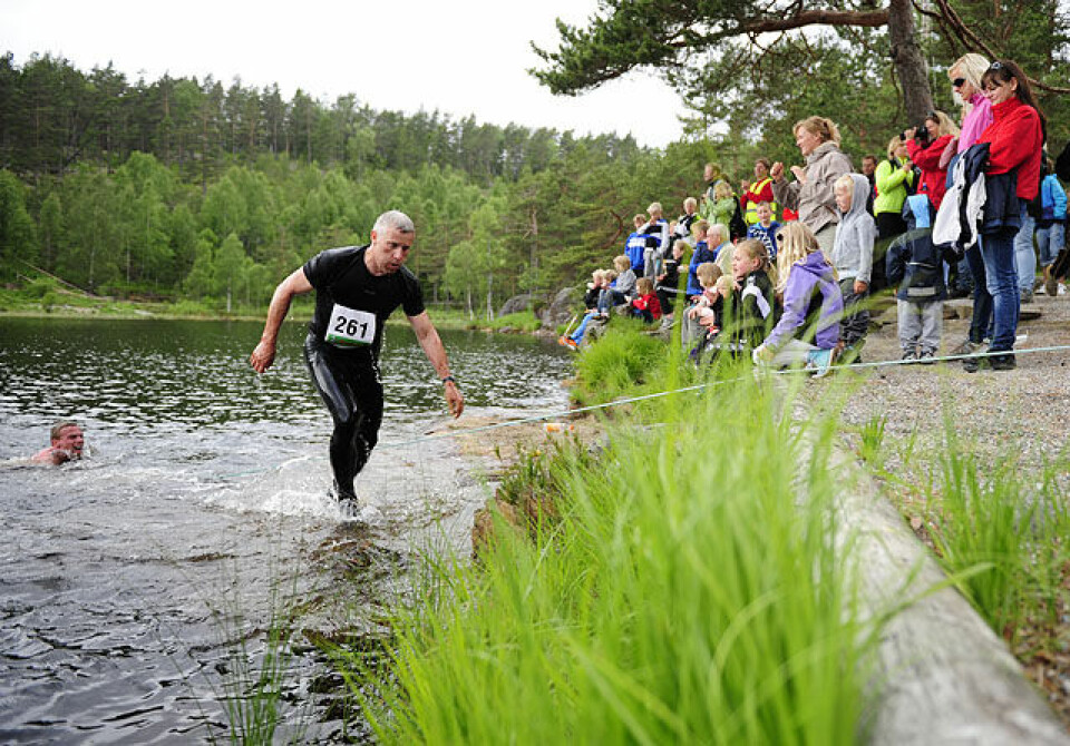 Råtasser i full utfoldelse