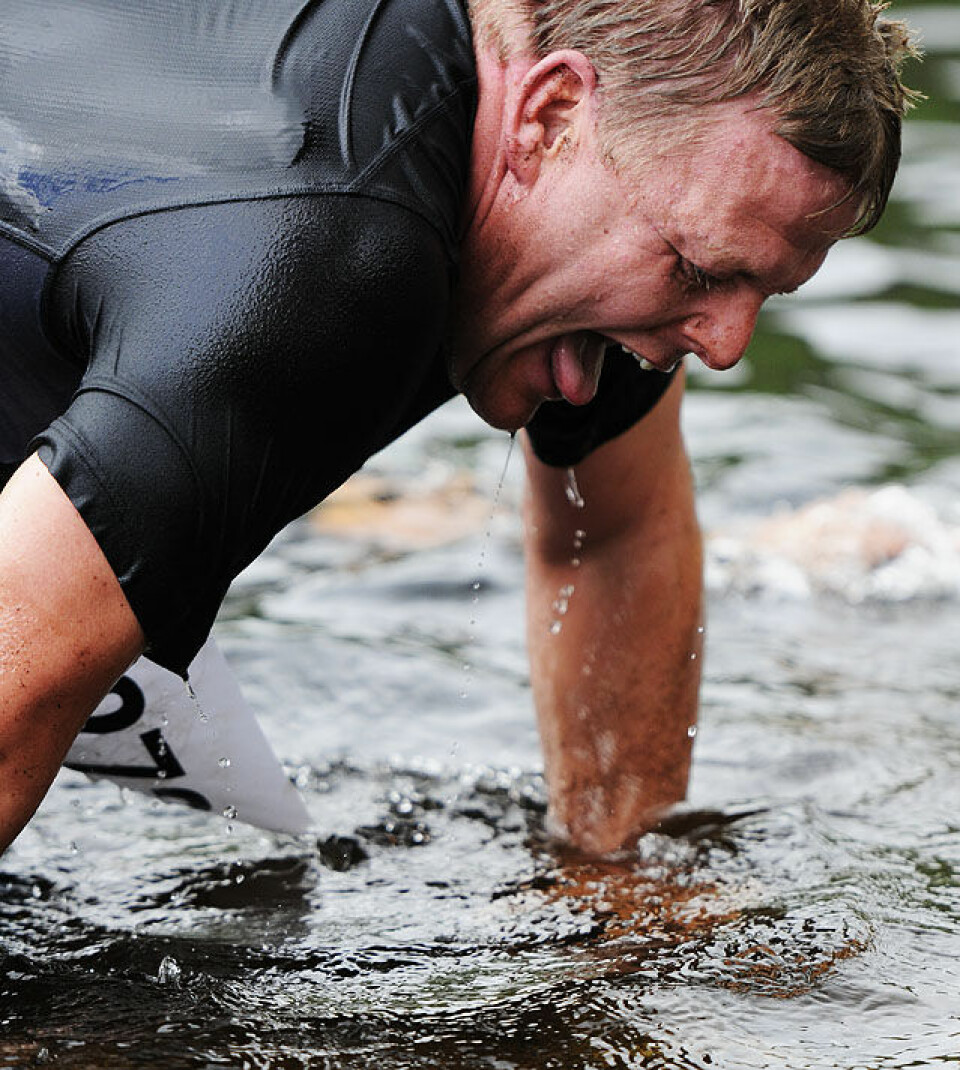 Råtasser i full utfoldelse