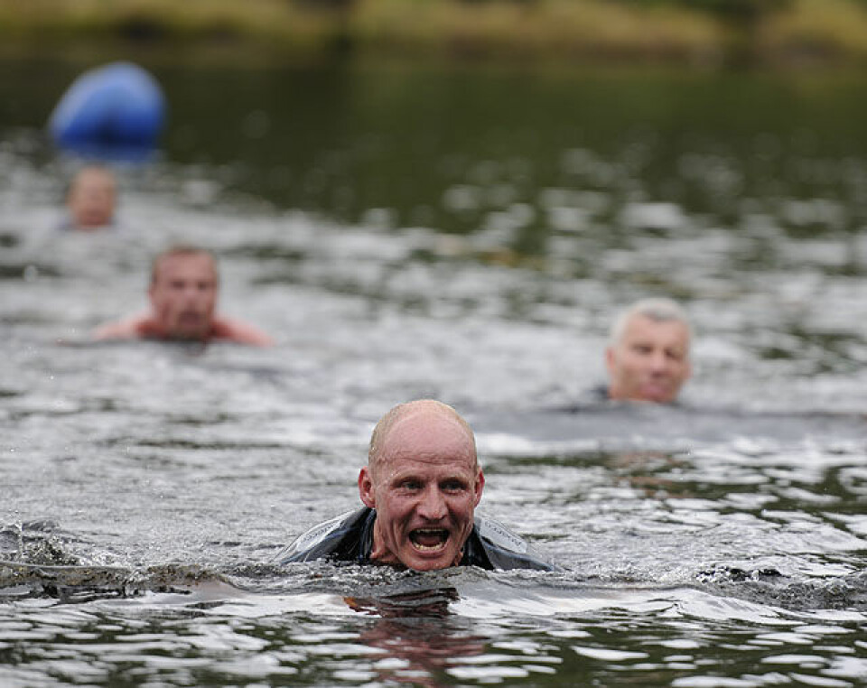 Råtasser i full utfoldelse