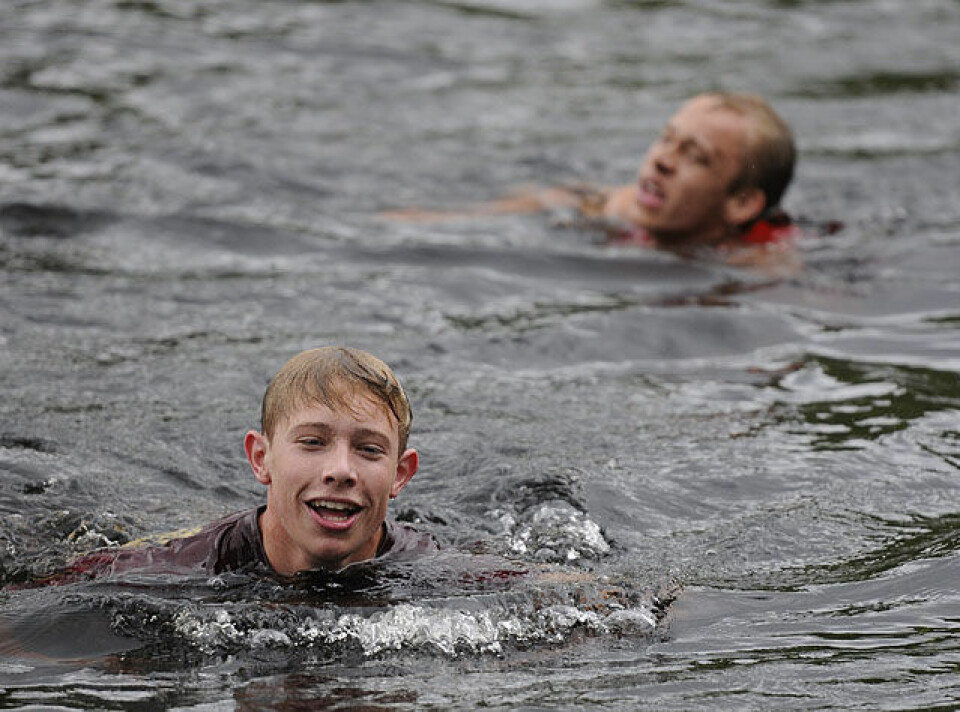 Råtasser i full utfoldelse