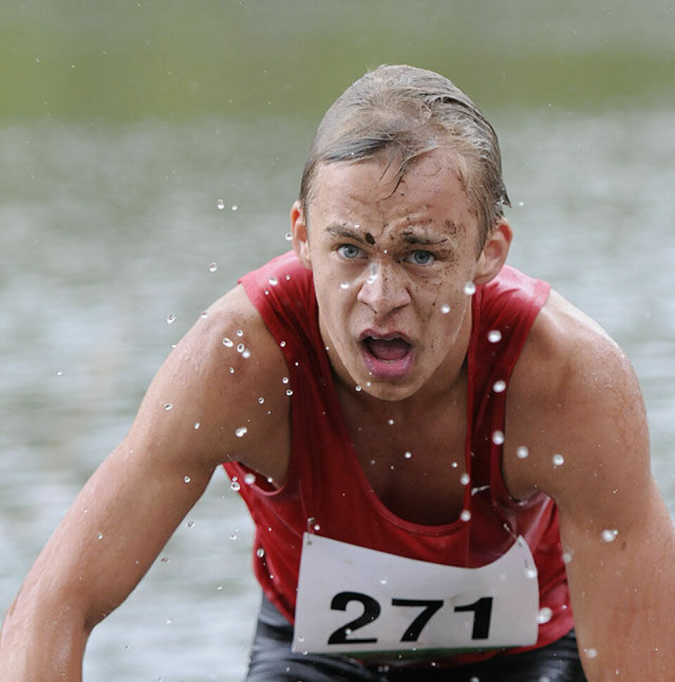 Råtasser i full utfoldelse