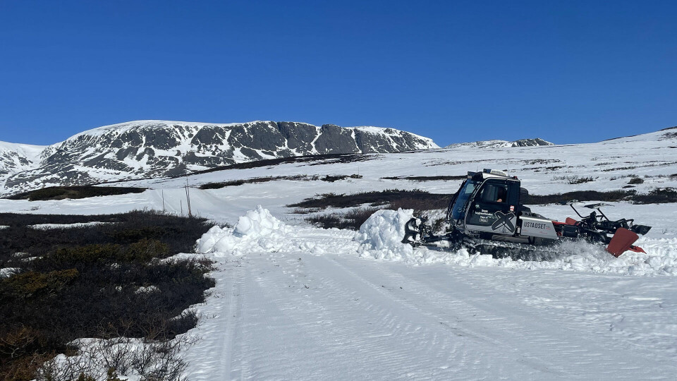 Arrangørene av Skarverennet, Geilo IL, har de siste ukene jobbet med å få på plass nok snø i Skarverennsløypen. (Foto: Arne Dag Myking) Arrangørene av Skarverennet, Geilo IL, har de siste ukene jobbet med å få på plass nok snø i Skarverennsløypen. (Foto: Arne Dag Myking)