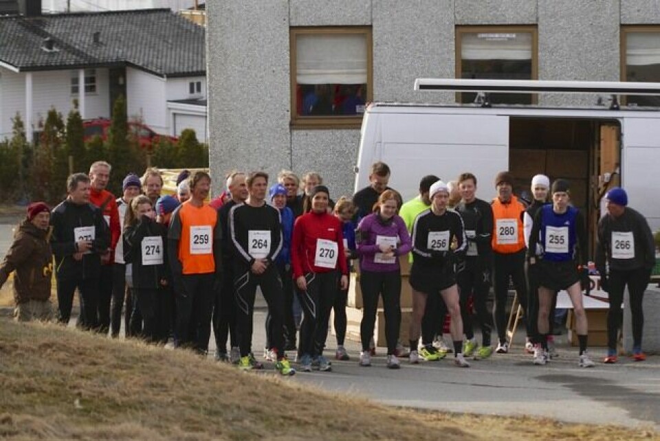 Våryr Vårdilt i Ålesund