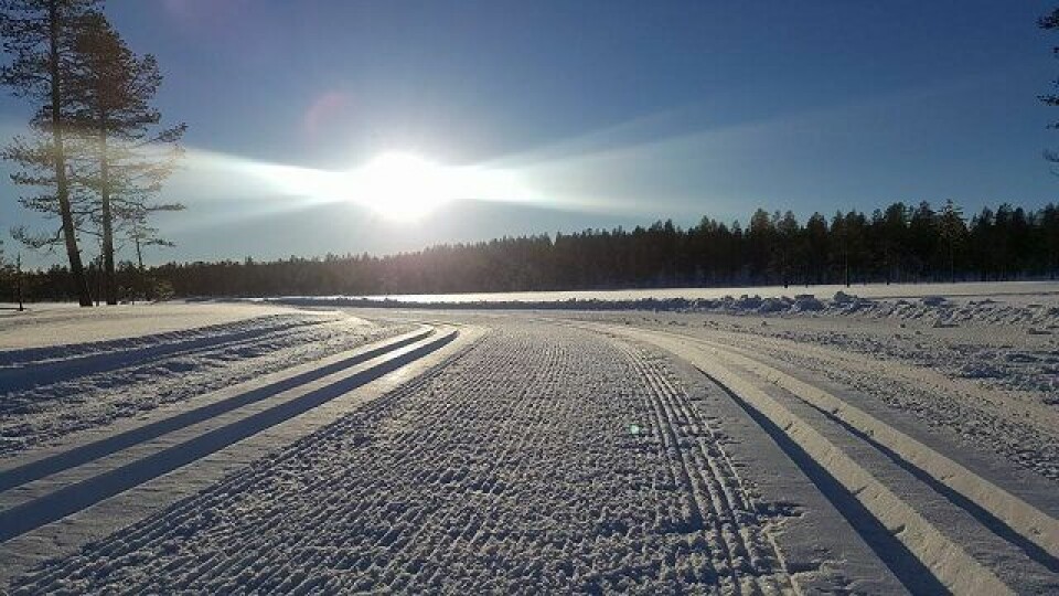 Bildet tatt i Trysil Skimaraton-sporet 20. januar 2017. (Arrangørfoto) Bildet tatt i Trysil Skimaraton-sporet 20. januar 2017. (Arrangørfoto)