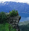 Munketreppene_opp_ingress