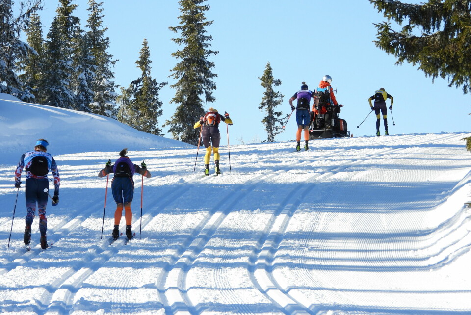 Se bilder av eliten i Birken i Kvarstadlia DSCN6916