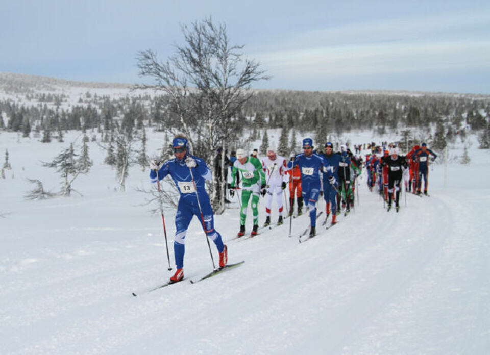 Parseier i Romjulsrennet Teten_3km.jpg