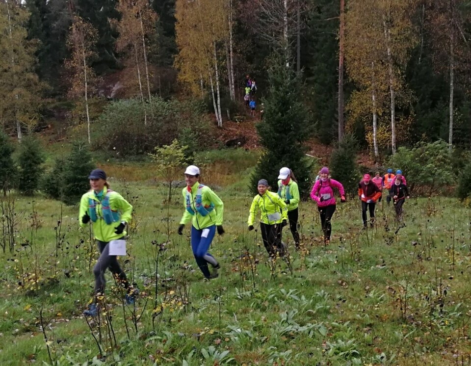 Løperne på lang rekke mens feltet ennå var samlet. (Foto: Anders Baumberger) Løperne på lang rekke mens feltet ennå var samlet. (Foto: Anders Baumberger)