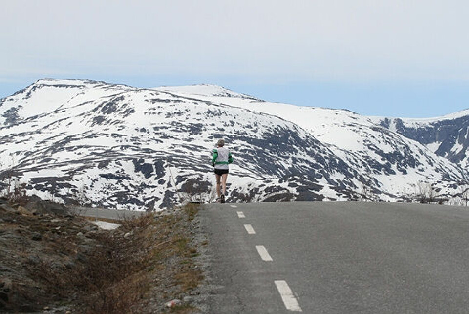 Det vindstille Fjellmaraton Ross_Wakelin_vinner_45_49_IMG_1559