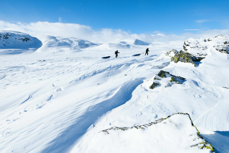 Åsnes Expedition Amundsen starter torsdag Vill_natur_Foto_Xavier Koenig_Xtremeidfjord.jpg